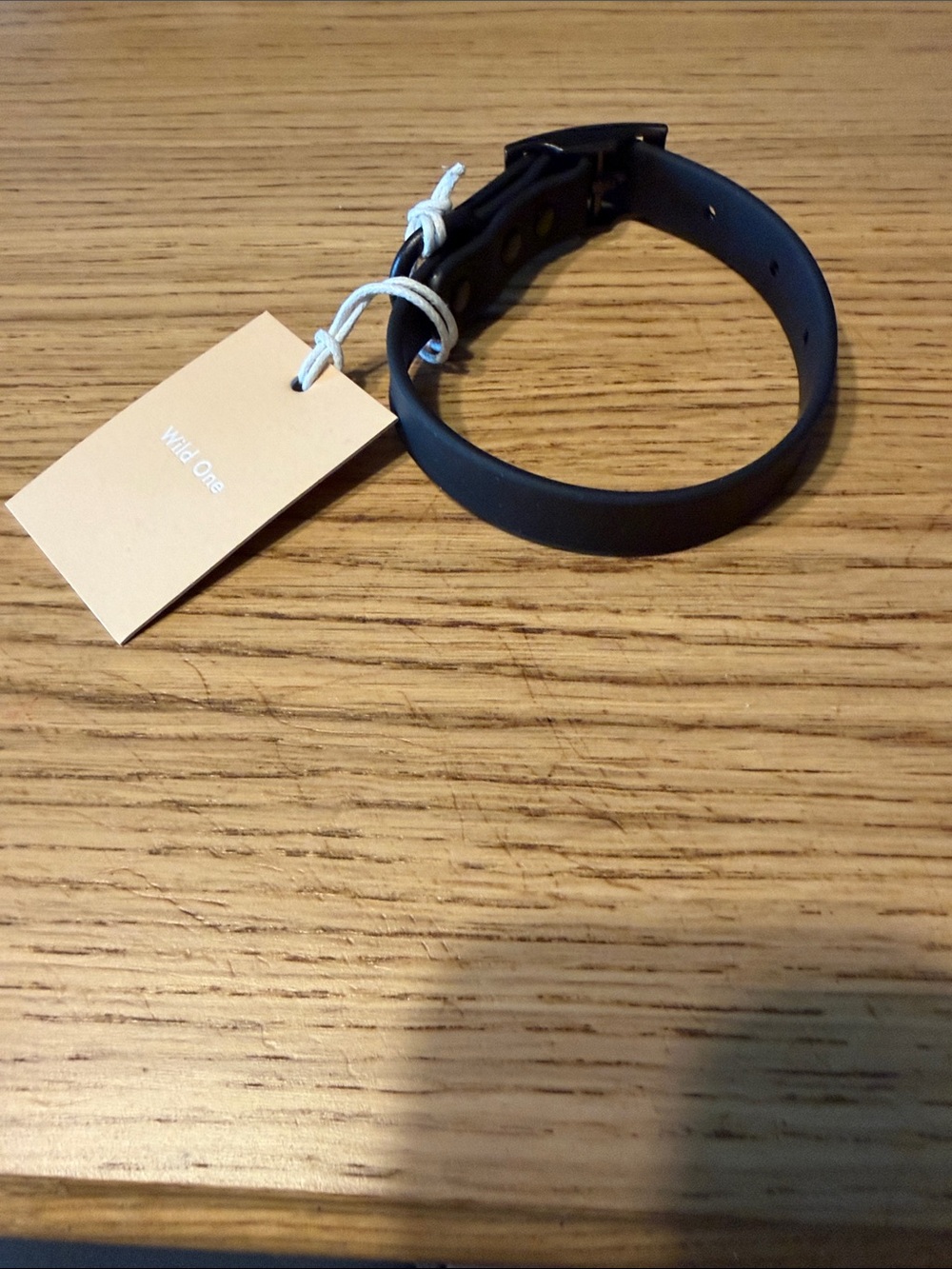 Wild One Dog Collar. Small. Black.